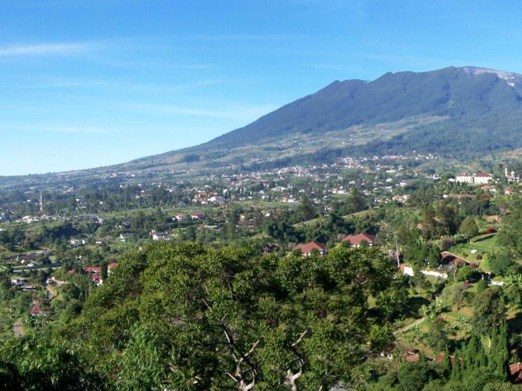 Talita Ciloto Resor 3*