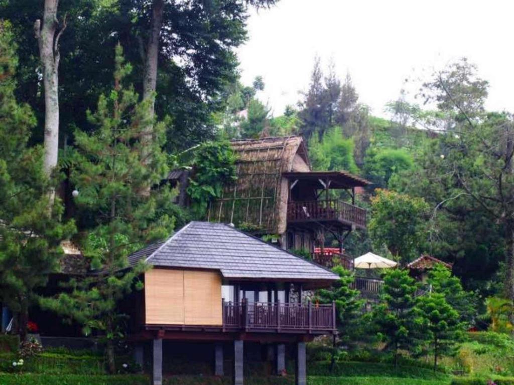 Talita Ciloto Resor Puncak