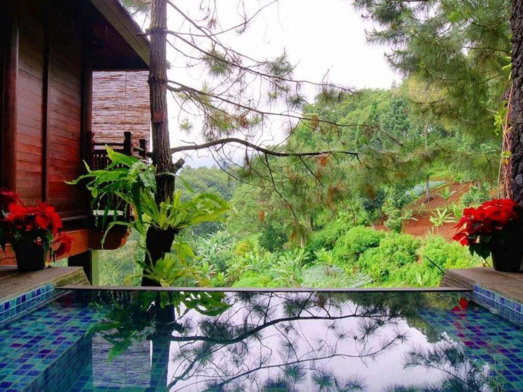 Resor Talita Ciloto 3*