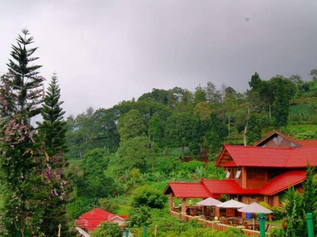 Resor Talita Ciloto Puncak