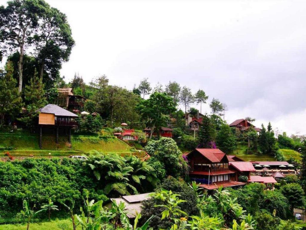 Talita Ciloto Puncak